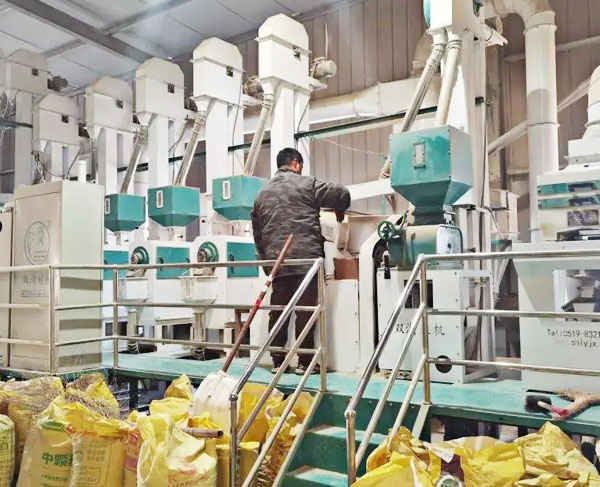 首页插图15 首页插图15