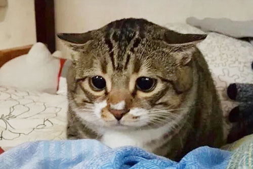 首页插图28 首页插图28